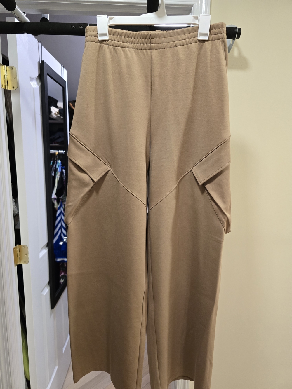 Zara Wide-Leg Cargo Pants in Camel